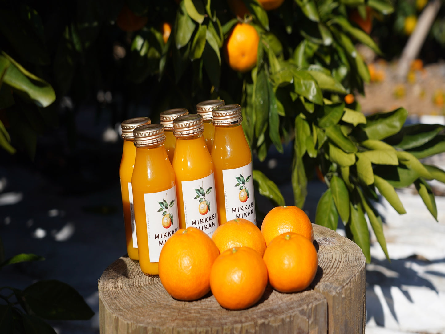 三ヶ日みかん100%ストレートジュース【180ml】