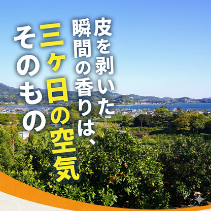 二等品三ヶ日みかん(青島)