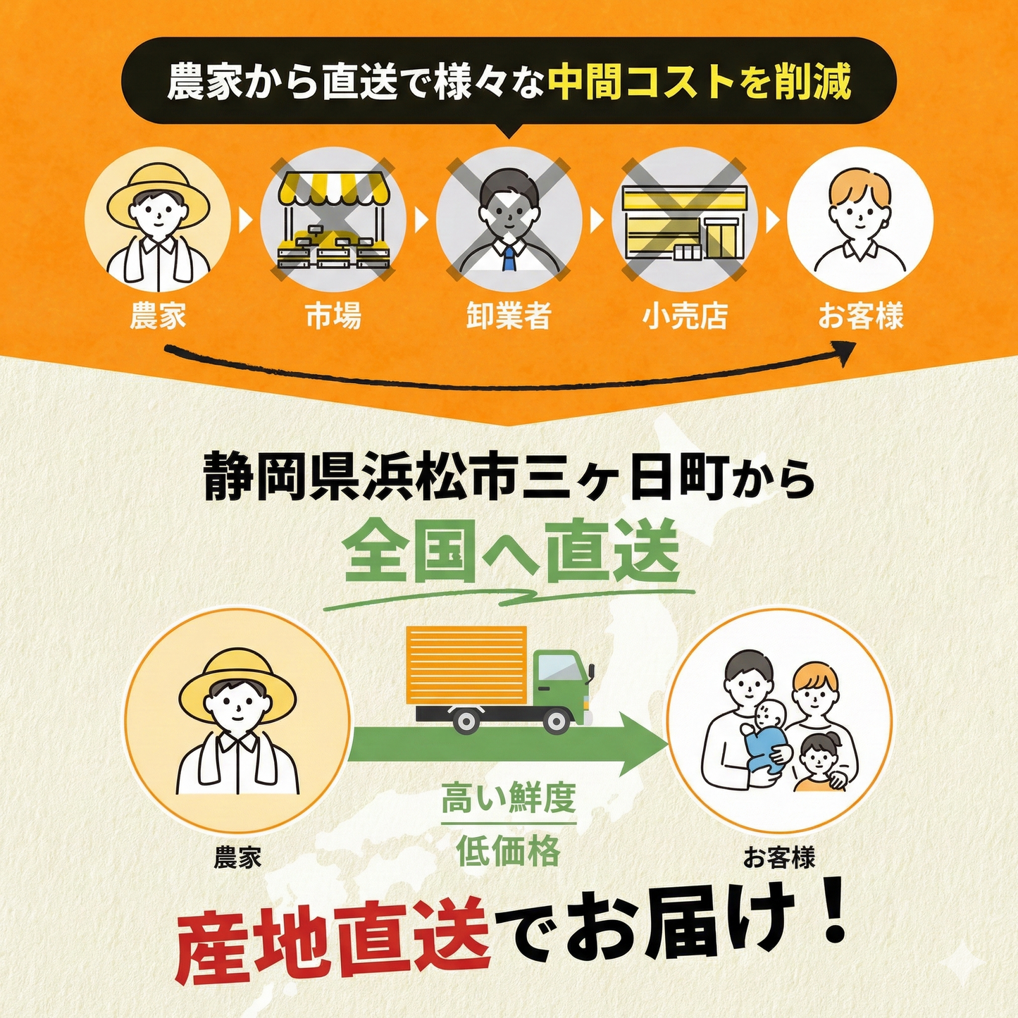 二等品三ヶ日みかん(青島)