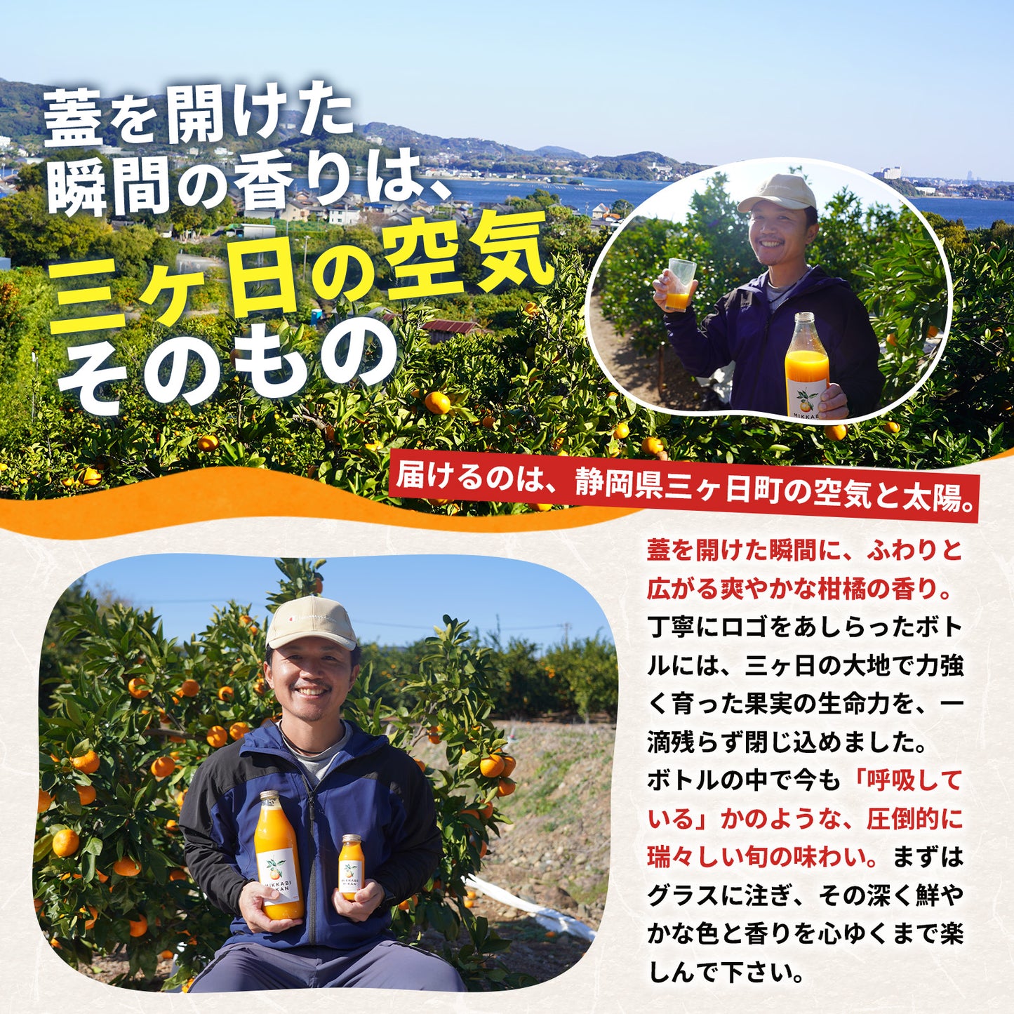 三ヶ日みかん100%ストレートジュース