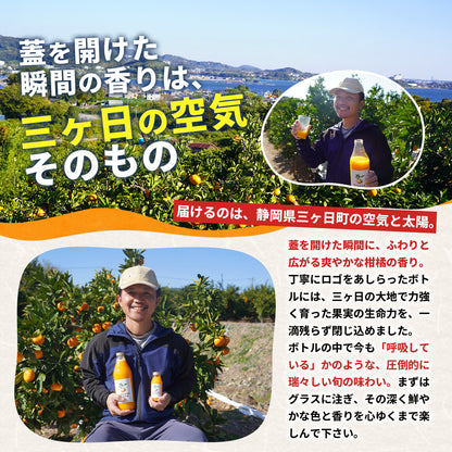 三ヶ日みかん100%ストレートジュース