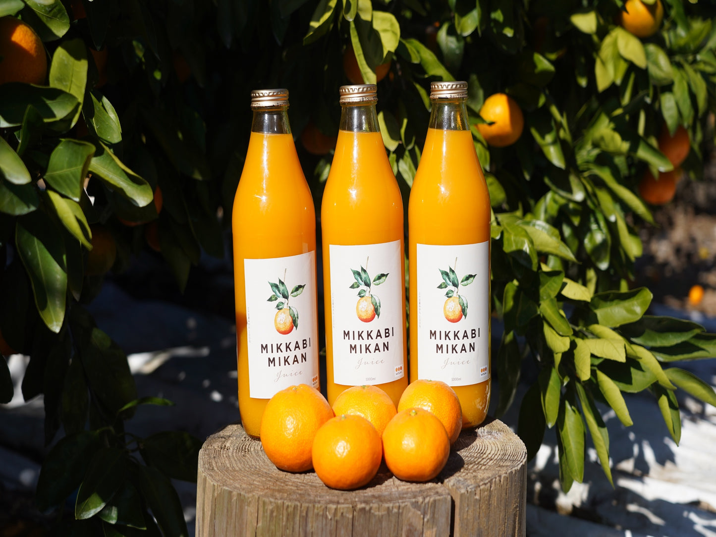 三ヶ日みかん100%ストレートジュース【1000ml】